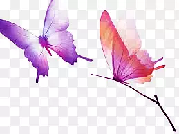 Ư������-������