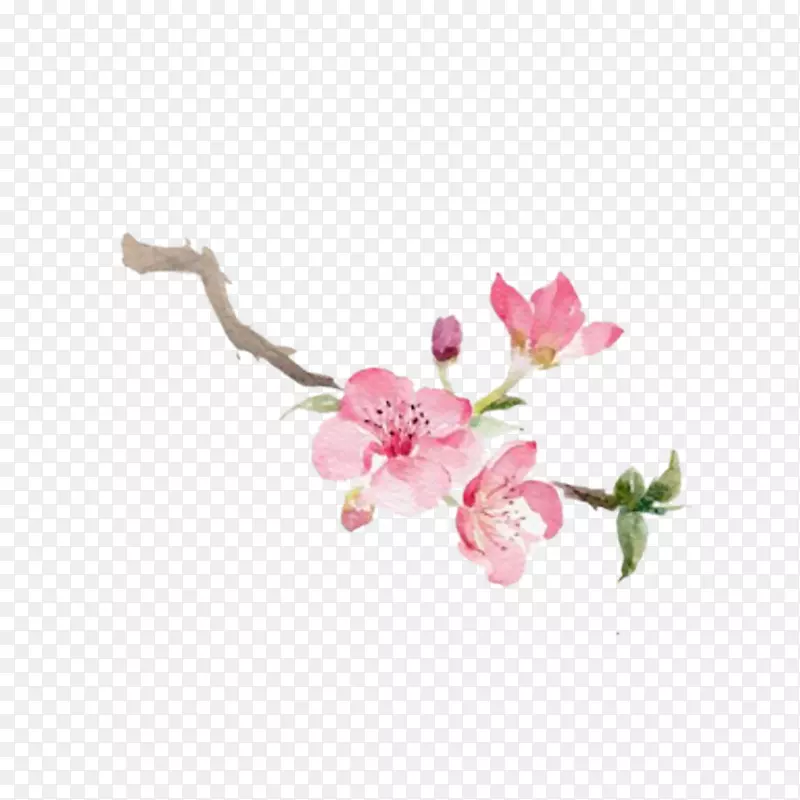 �ۺ�ɫ���һ�֦-������