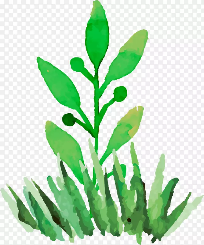 ��ɫˮ�ʴ���С��-������