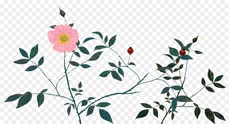 �ֻ�СҰ��-������