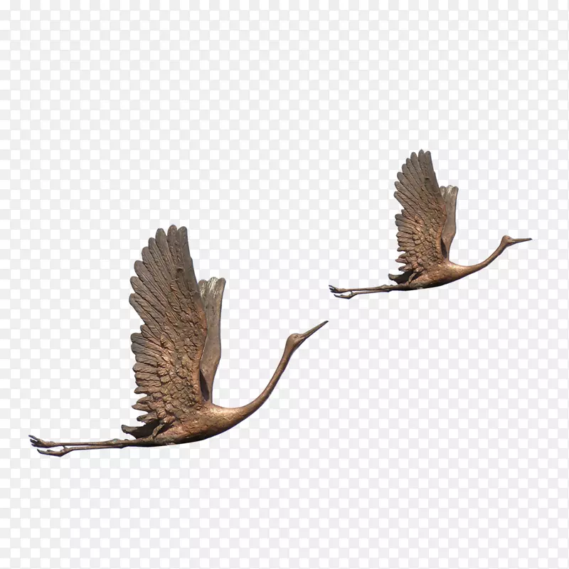 �����ز�ͼƬ-������