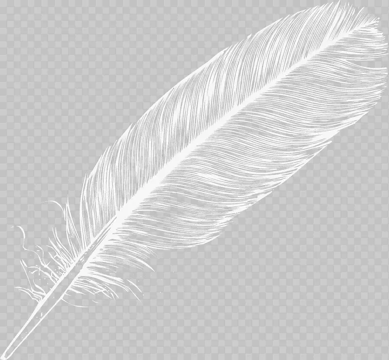 ��ɫƮ����ë-������