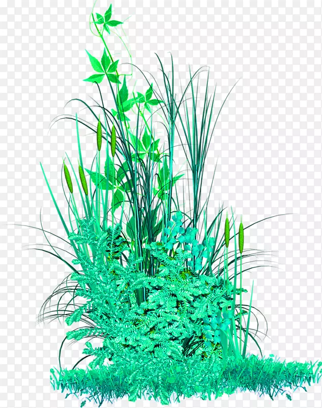 �̲�-������