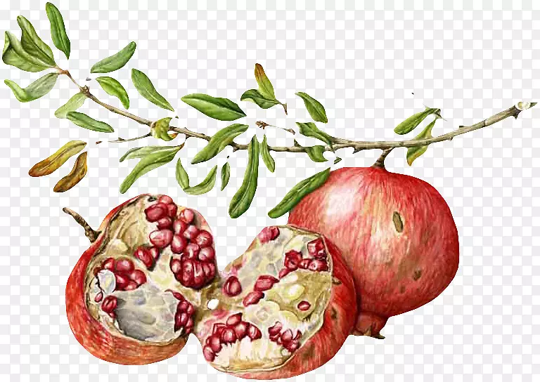 ��ɫʯ��-������