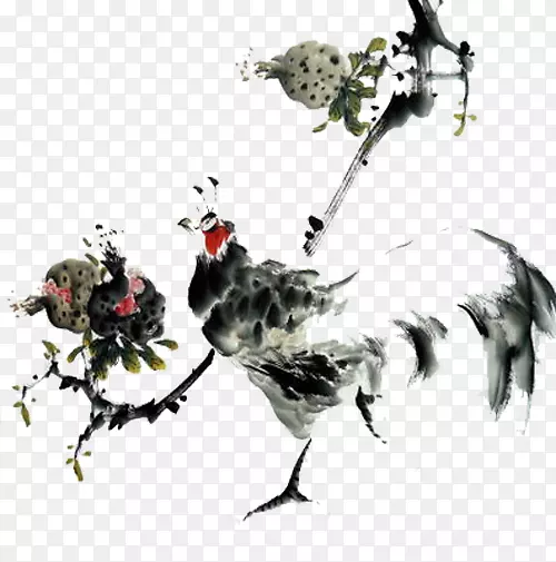 ʯ����֦�빫��ë�ʻ�-������