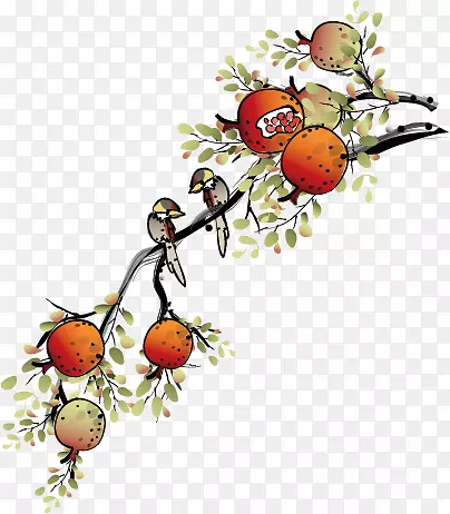 ʯ��-������