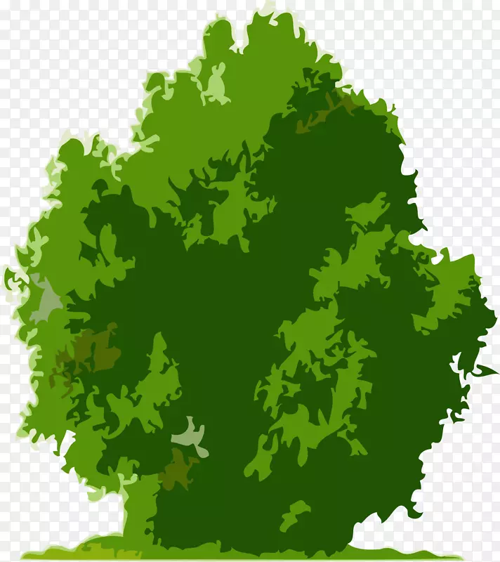 ��ɫ��-������