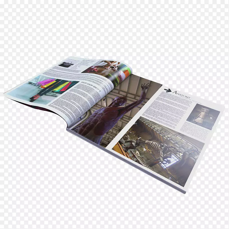 ����̯����ҳʱ����־��-������