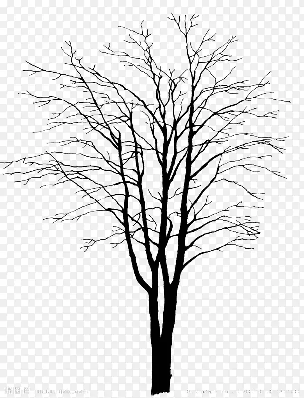 ��֦-������