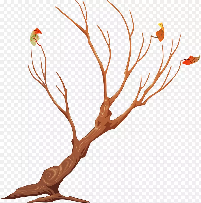 ���������-������