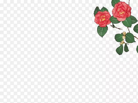 ����ϳ���Ӱ��ɫ��ֲ��-������