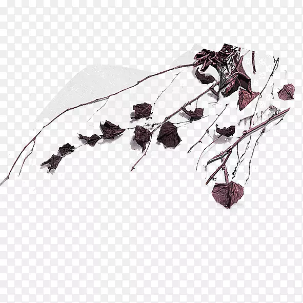 ��֦-������