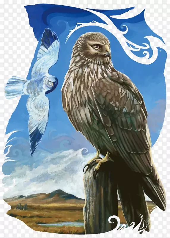 ʸ��ˮ����ӥ-������