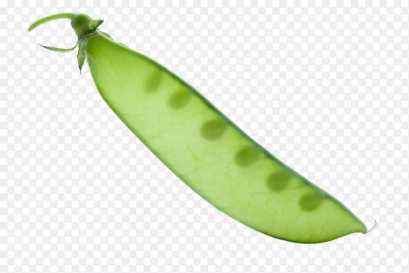 ��Ӱ ���� ������-������