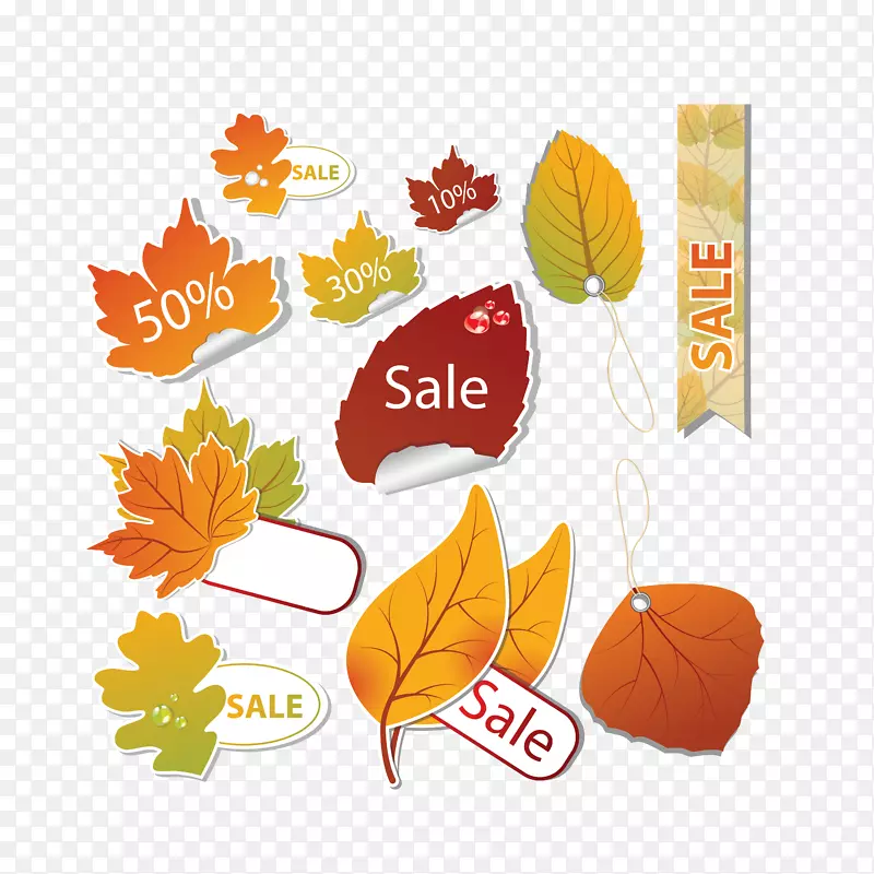 ��Ҷ-������