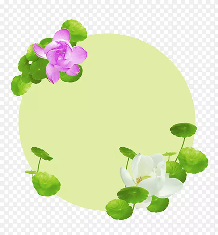 ͭǮ��װ�λ���-������