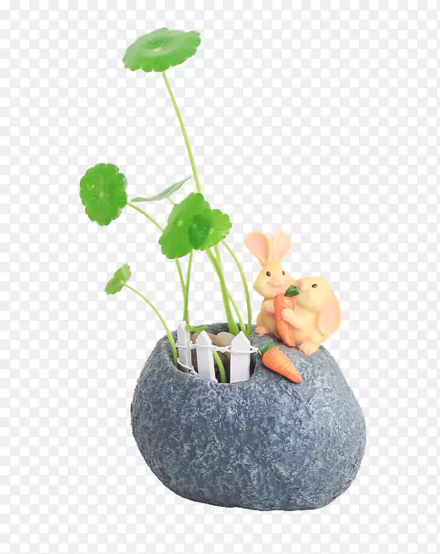 �Ӽ�ֲ��ͭǮ��-������