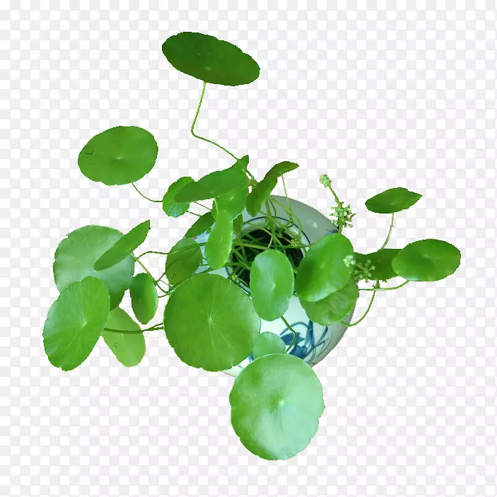 ͭǮ�ݰ칫������-������