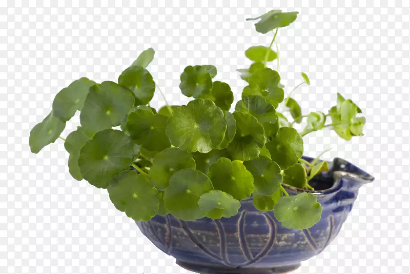 ͭǮ������װ������ز�-������