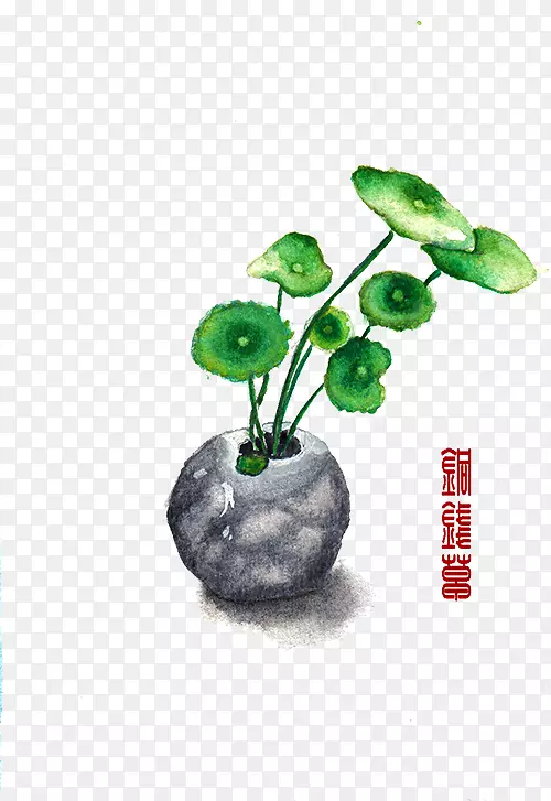 �ֻ�ͭǮ��-������