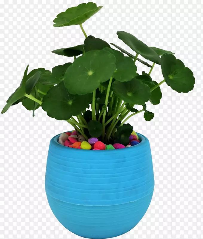 �칫��װ���辰ͭǮ��-������