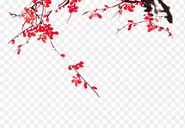 ÷����֦-������