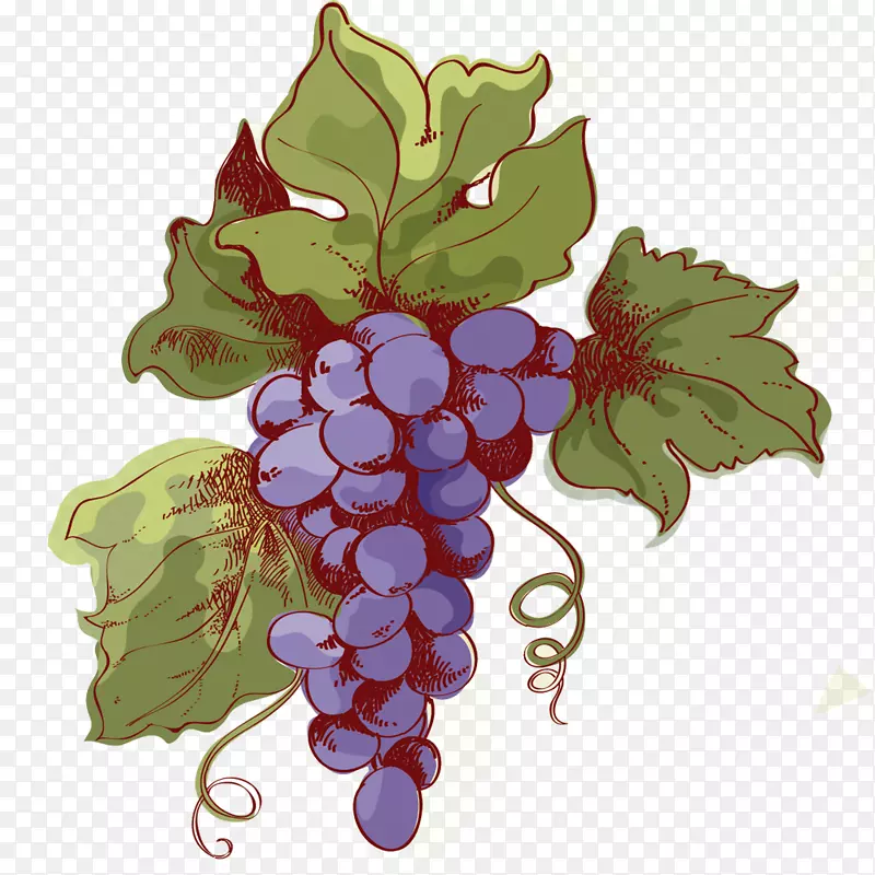 ʸ����ɫ�����ز�-������