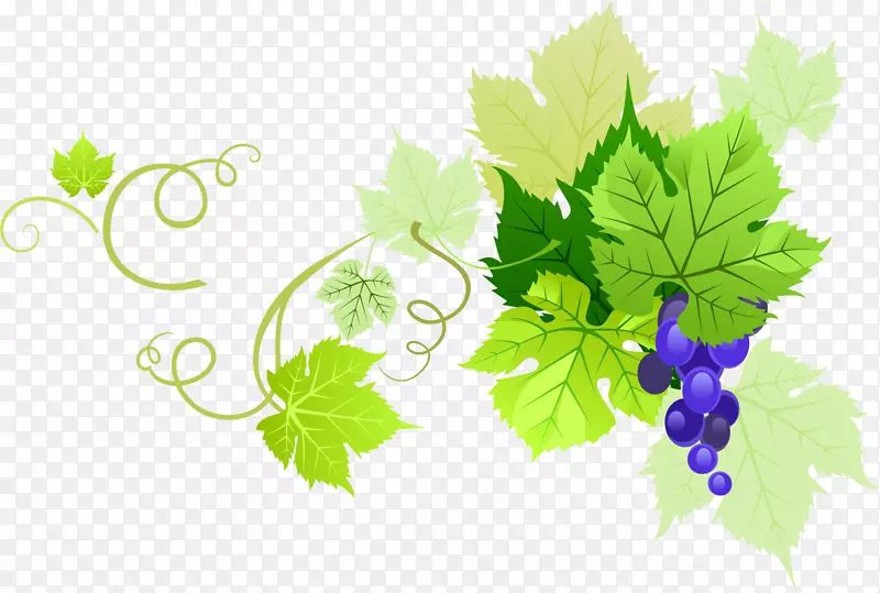 ��ɫ����PNGʸ���ز�-������