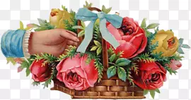 �ֻ滨ͼ���ֻ滨��-������