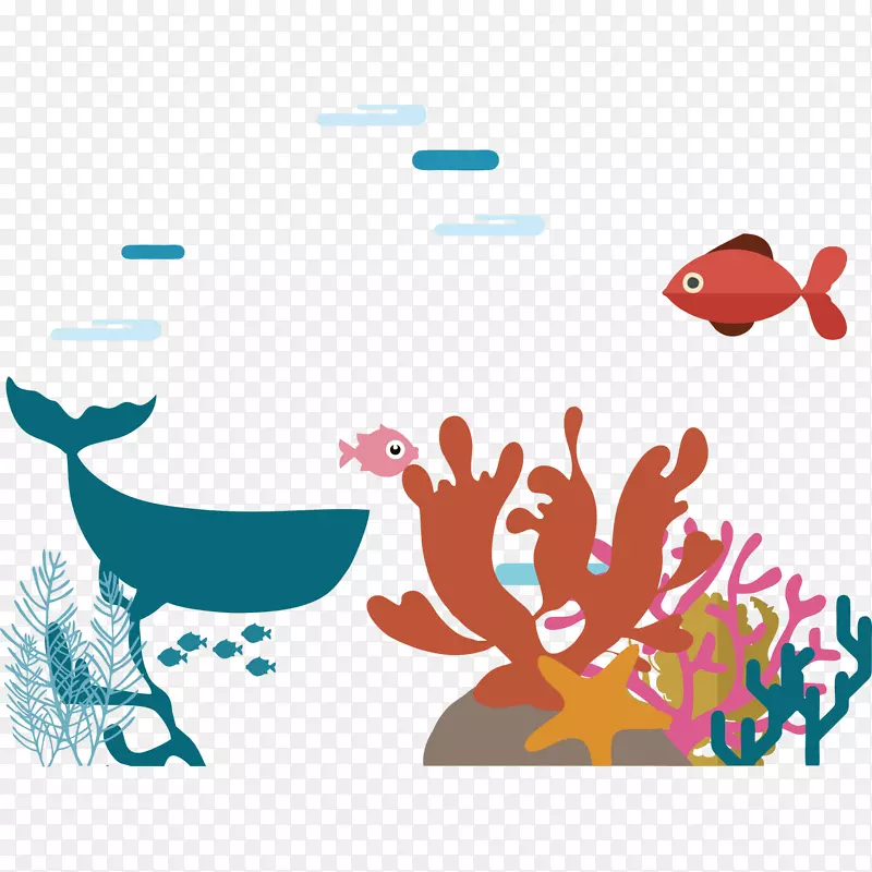 �������纣���պ����������Ԫ��-������