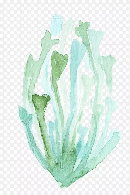 ˮ�ʲ�ֲ�ﺣ��-������