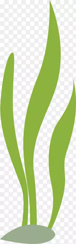 ���纣������ɫ����-������