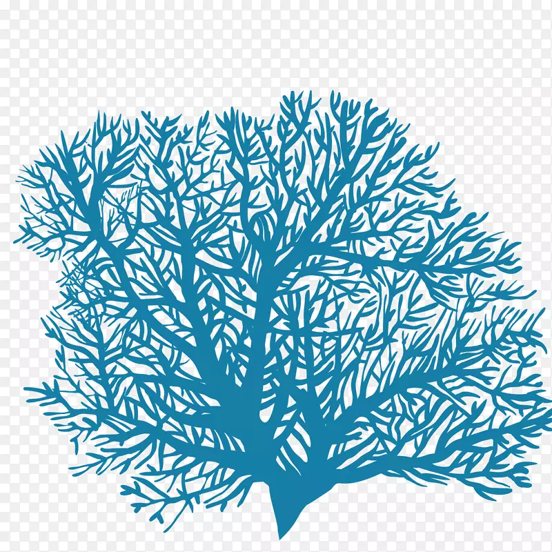 ������ɫ�ɺ��-������