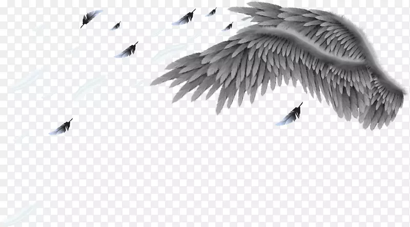 ��è�Ա������Ԫ�س��-������