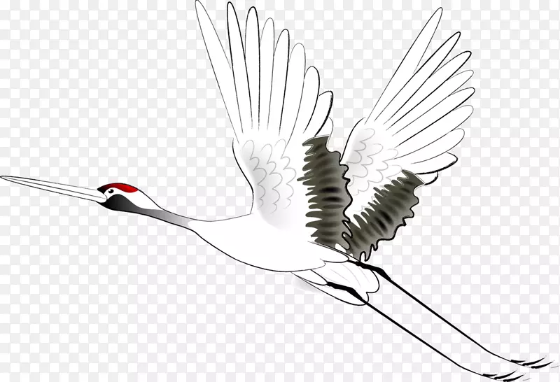 �ֻ������ɺ׵�����-������