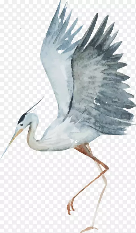 ˮ�ʻ�������ʸ��-������