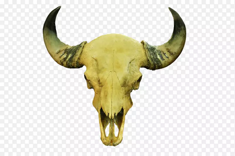 ɽ��Ƕ�����Ʒ�ڼ�-������