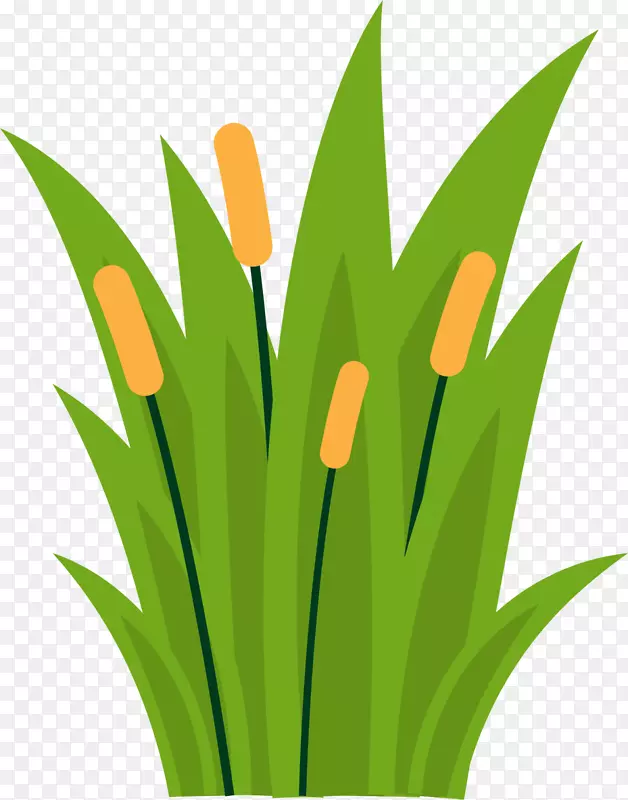 ��ɫ����«έС��-������