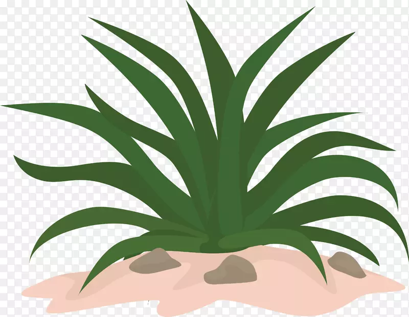 ���˲�ɳ��-������