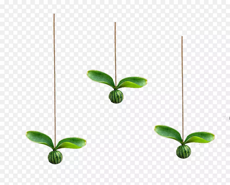 ��ѾƯ��Ԫ��-������