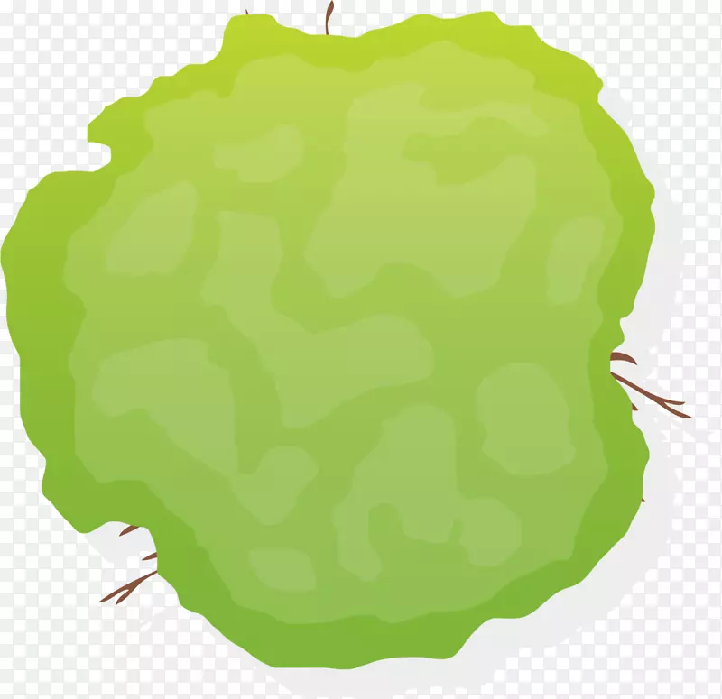 ��ɫ��������ֲ��-������