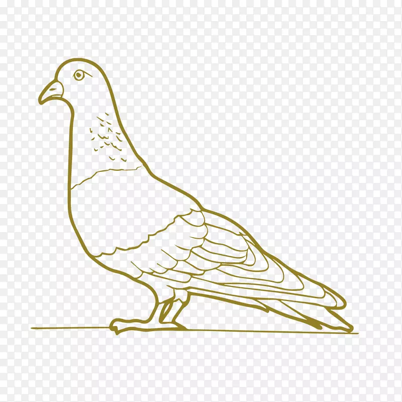 �ֻ�ʸ��С�������-������