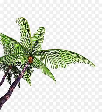 �����ز�-������