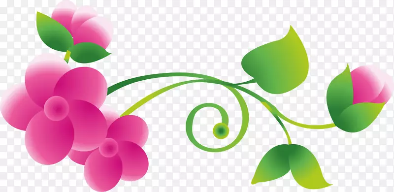 �����ֽ���ܲ���Picasa�������-��ɫ��-������