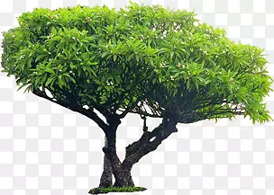 ��-������