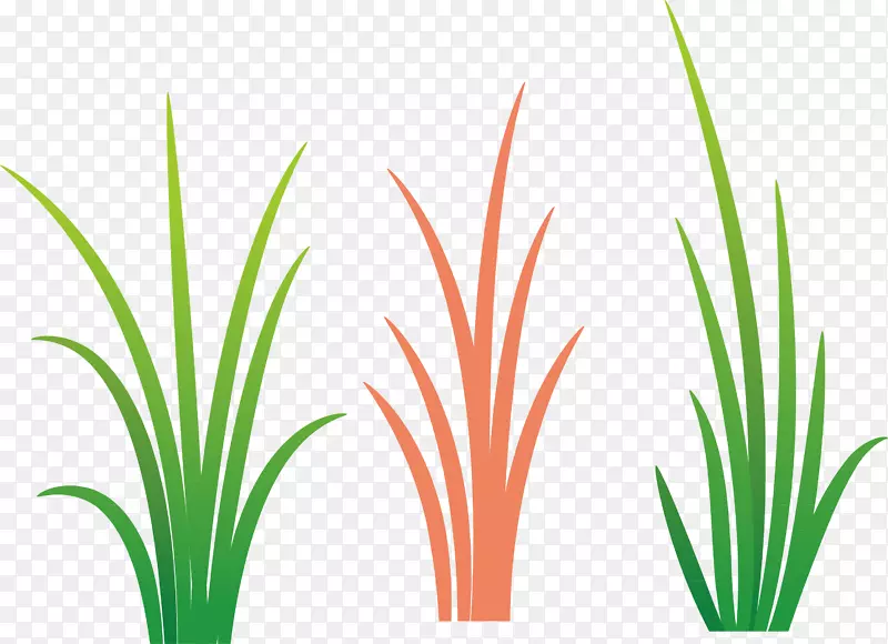 С�����ǻ�С��-������