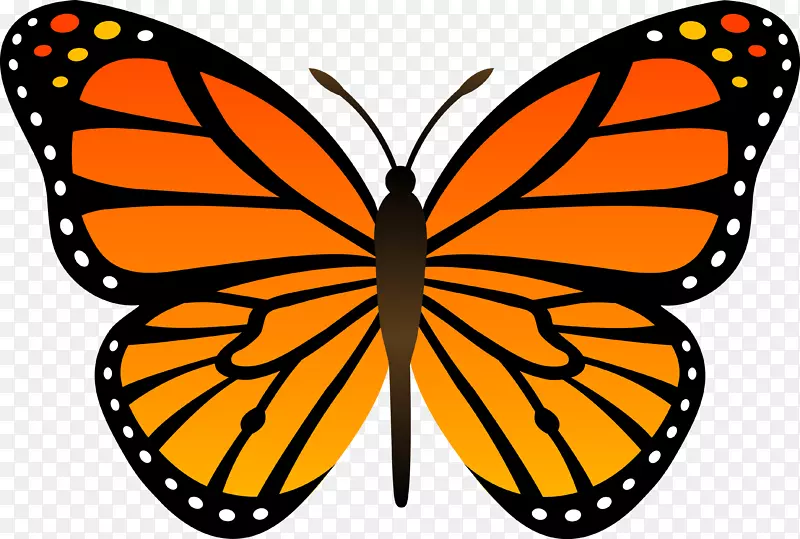 ��ɫ�ĺ���-������