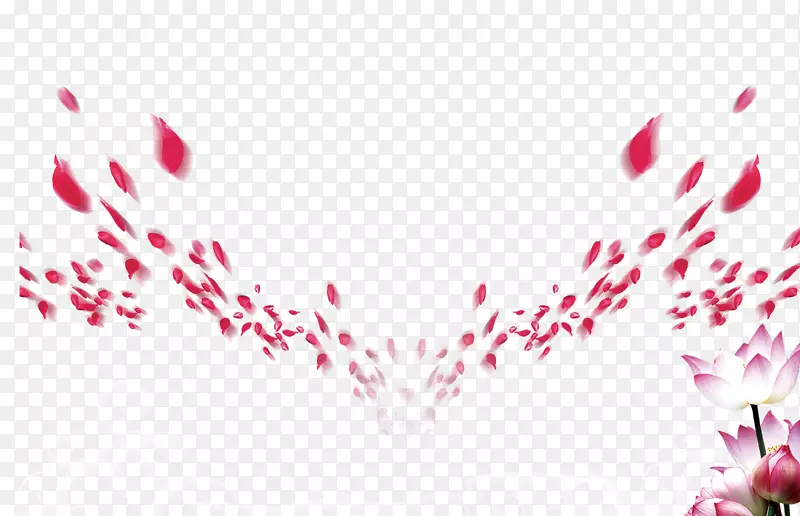 �����زı���-������