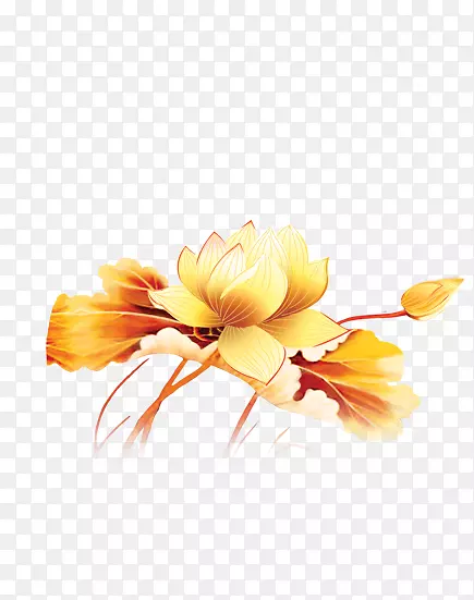 ����ǽװ��-������