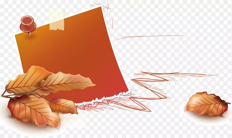 �İ�����Ԫ�� ��ǩ ��ɫ����-������